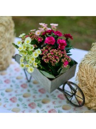 BOUQUET 3 TIGES MARGUERITES VERTES 8CM X 8CM X 27CM