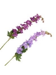 LILAS/AMETHYST DELPHINIUM-STIEL 2 SORTIERT 10CM X 9CM X 93CM