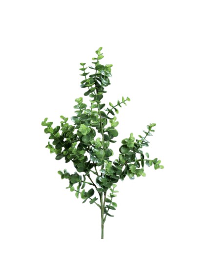 BRANCHE EUCALYPTUS VERT 70CM