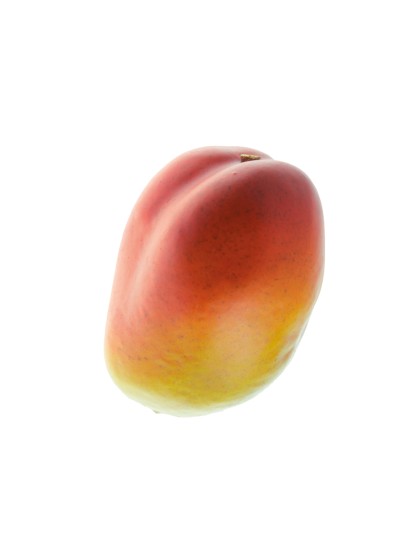 MANGUE 10CM