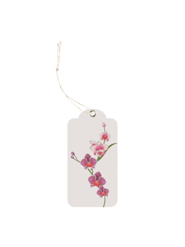 SET OF 12 ORCHIDS LABELS WITH EYELET AND LINK 5.8CM X 3CM