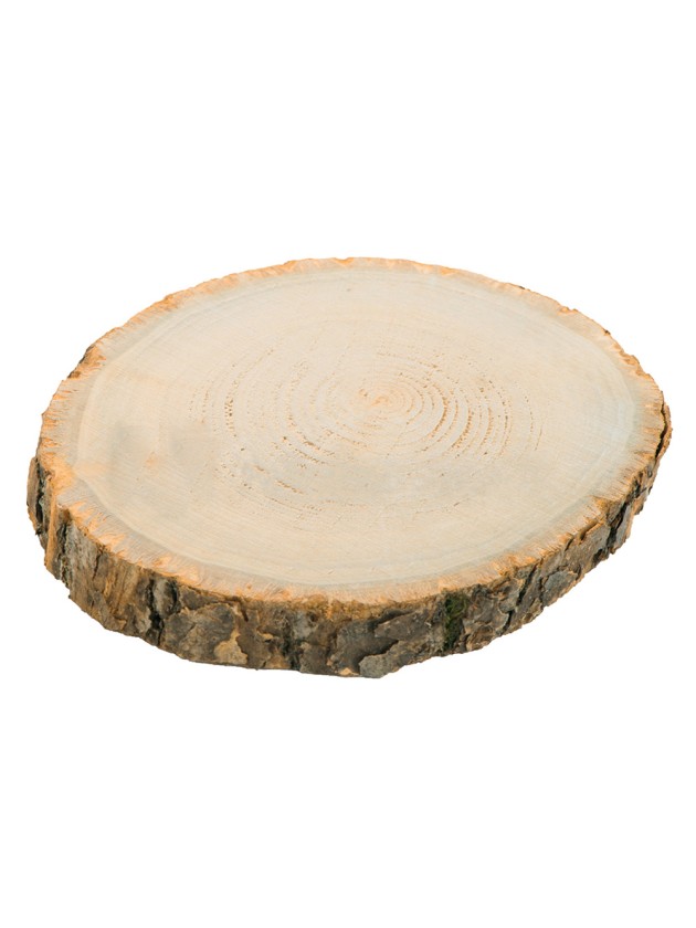 RONDIN BOIS DIA ENV 30CM X 2CM