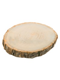 RONDIN BOIS DIA ENV 30CM X 2CM