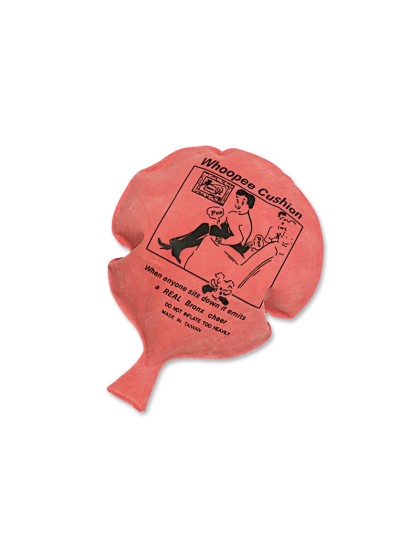 COUSSIN AUFBLASBAR 