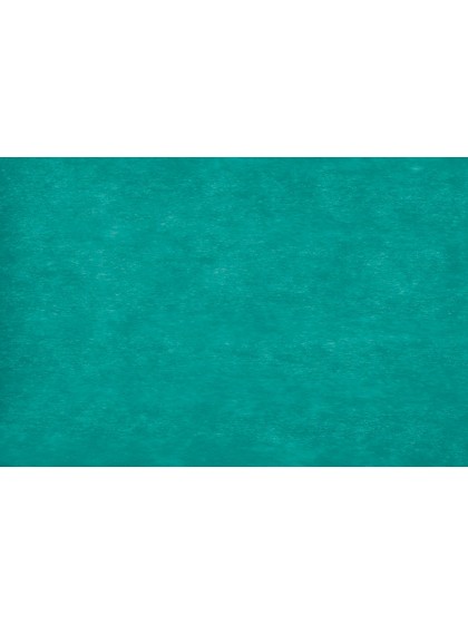 BAND ELEGANCE CARAIBE 10CM X 20M