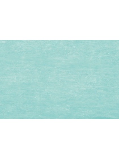 PASTEL GREEN ELEGANCE RIBBON 10CM X 20M