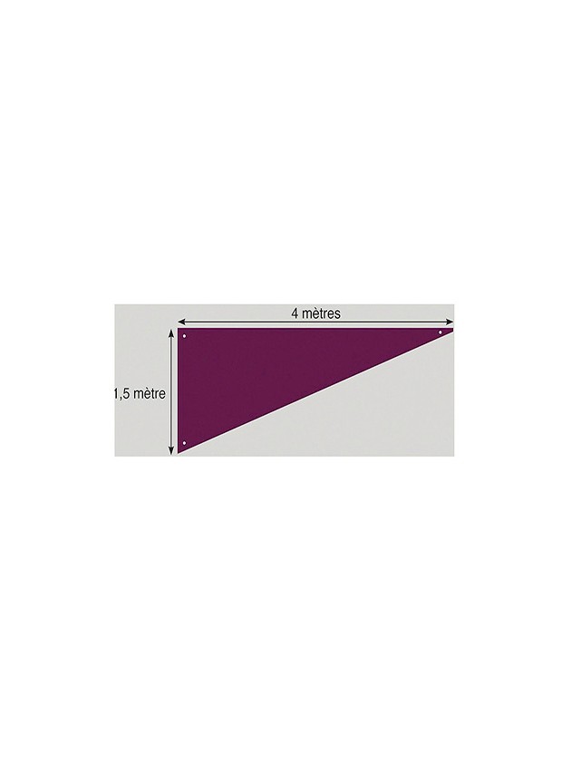 TENTURE TRIANGLE PRUNE 