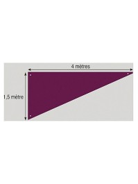 TENTURE TRIANGLE PRUNE 