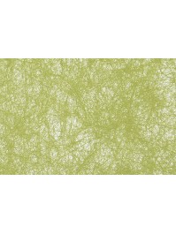 10 SETS DE TABLE CARRE ROMANCE KIWI 34CM