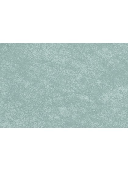 ROULEAU DECO ROMANCE VERT PASTEL 60CM X 10M