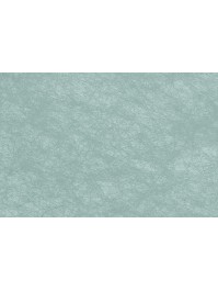 ROULEAU DECO ROMANCE VERT PASTEL 60CM X 10M