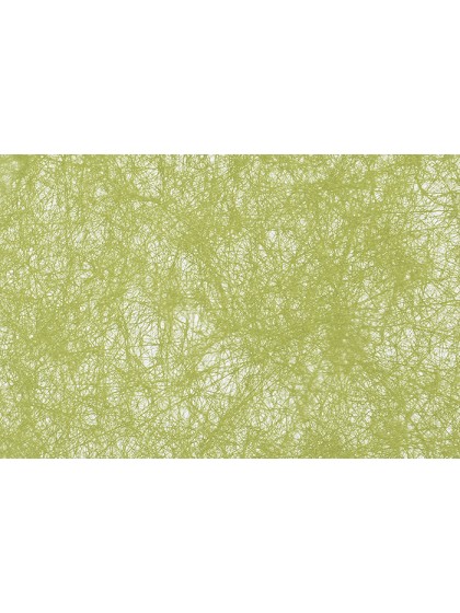 ROULEAU DECO ROMANCE KIWI 60CM X 10M