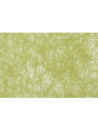 ROULEAU DECO ROMANCE KIWI 60CM X 10M