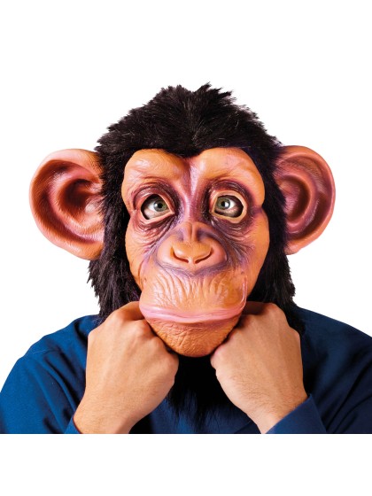 BRUNO LE SINGE 