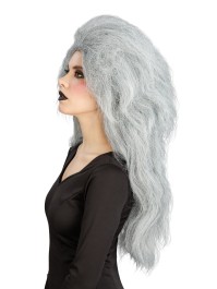 PERRUQUE DE SORCIERE CHEVEUX GRIS 65CM