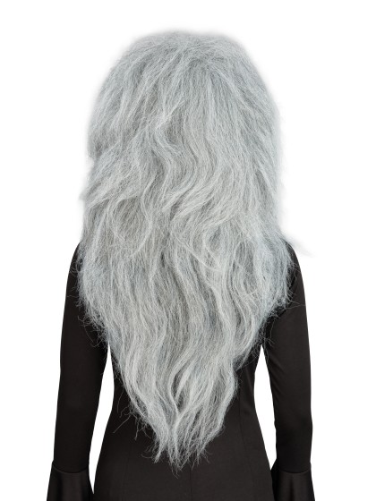 GREY HAIR WITCH WIG 65CM
