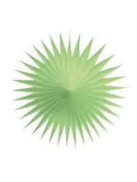 SET DE 3 EVENTAILS VERT PASTEL 17CM