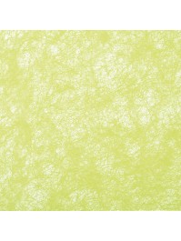 BAND DEKO ROMANCE GRÜN LIME 10CM X 10M