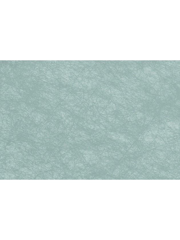 ROULEAU DECO ROMANCE VERT PASTEL 60CM X 10M