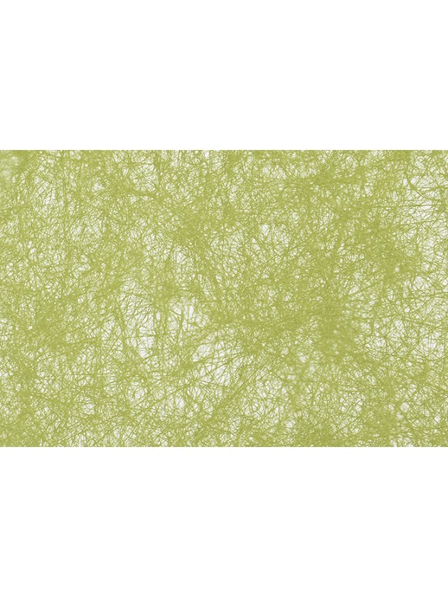 ROLLE DEKO ROMANCE KIWI 60CM X 10M