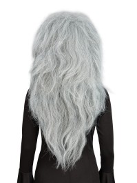 GREY HAIR WITCH WIG 65CM