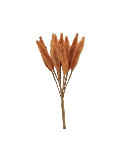 TIGE EFFET LAGURUS CAMEL 12 PIECES 7CM X 16CM
