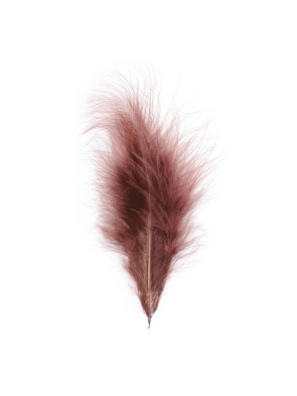 5 PLUMES CHOCOLAT 10-15CM