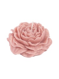 KERZE KAMELIE ROSA SEEROSE DIA 10.3CM X 4.2CM
