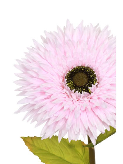 GERBERA GEANT ROSE SUR TIGE DIA 25CM X 85CM