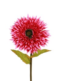 GIANT FUCHSIA GERBERA ON STEM DIA 25CM X 85CM