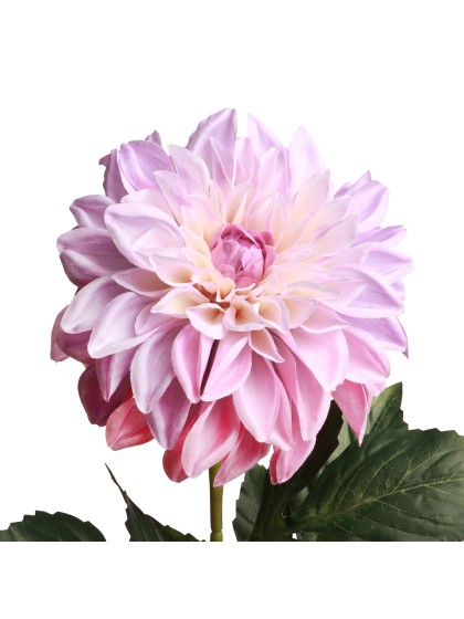 XL LILAC DAHLIA STIEL 2 SORTIERT DIA 14CM X 70CM
