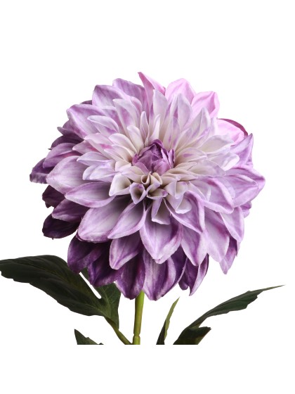 XL LILAC DAHLIA STIEL 2 SORTIERT DIA 14CM X 70CM