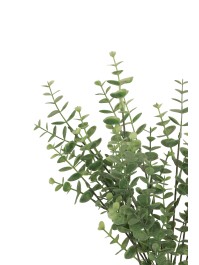 EUKALYPTUS 13 ZWEIGEN 34CM X 15CM X 48CM