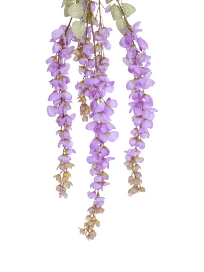 ZWEIG GLYCIN LILA 15CM X 5CM X 120CM