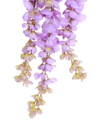 ZWEIG GLYCIN LILA 15CM X 5CM X 120CM
