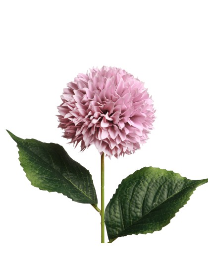 TIGE DAHLIA LILAS DIA 12CM X 62CM