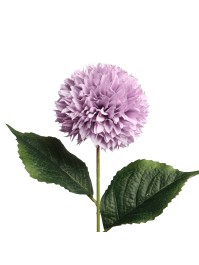 AMETHYST DAHLIA STEM DIA 12CM X 62CM