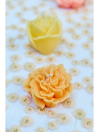 6 BOUGIES GARDENIA MELON/JAUNE SABLE 2 ASSORTIES 5.6CM X 5.2CM X 2.8CM