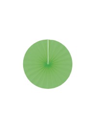 SET 4 EVENTAILS VERT LIME DIA 20CM