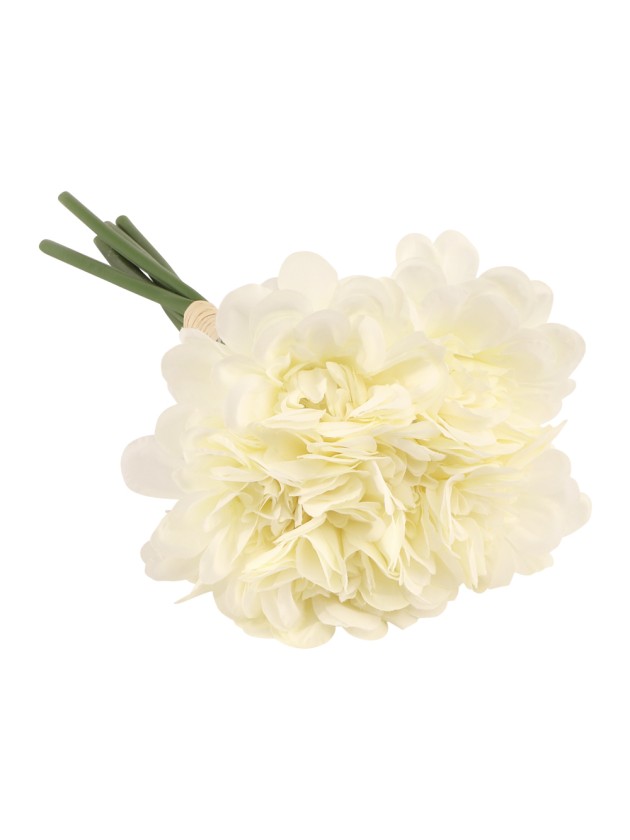 BOUQUET 6 CAMELIA BLANCHES DIA 11CM X 23CM