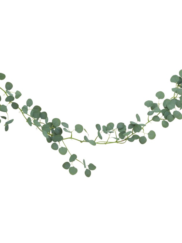 DESCENTE EUCALYPTUS 173CM