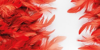 PLUMES