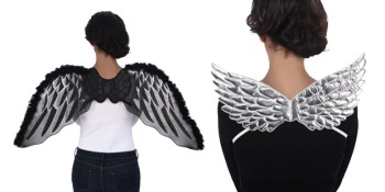 WINGS