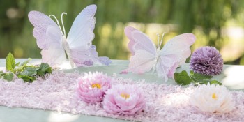 Sweet Butterfly