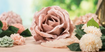 Sage Secret