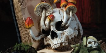 FOREST SPIRITS