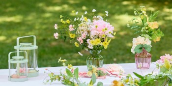 Soft Meadow
